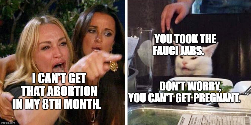 Smudge the cat | YOU TOOK THE FAUCI JABS.                                           
     DON'T WORRY, YOU CAN'T GET PREGNANT. I CAN'T GET THAT ABORTION IN MY 8TH MONTH. | image tagged in smudge the cat | made w/ Imgflip meme maker