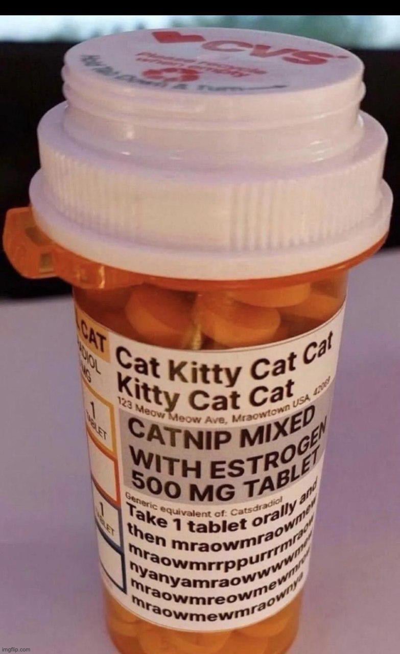 Catnip mixed with Estrogen | image tagged in catnip mixed with estrogen | made w/ Imgflip meme maker