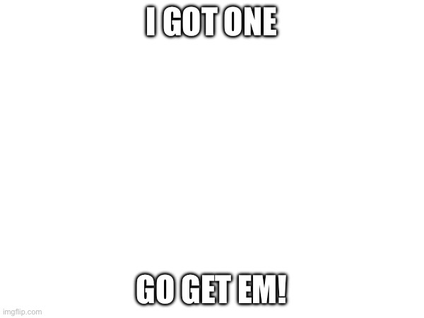 I GOT ONE GO GET EM! | made w/ Imgflip meme maker