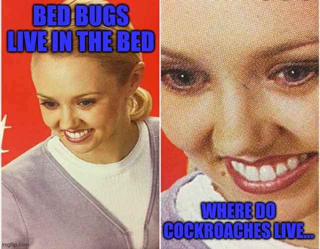 '-' | BED BUGS LIVE IN THE BED; WHERE DO COCKROACHES LIVE... | image tagged in wait what,bugs,uhh,eww,funny,cockroaches | made w/ Imgflip meme maker