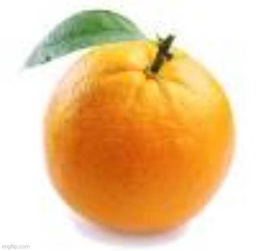 orange | image tagged in orange | made w/ Imgflip meme maker