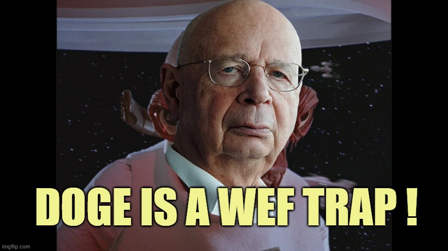 Admiral Ackbar Its a trap | DOGE IS A WEF TRAP ! | image tagged in admiral ackbar its a trap | made w/ Imgflip meme maker