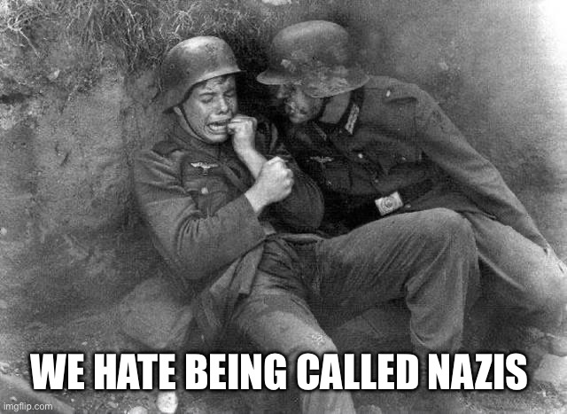 WE HATE BEING CALLED NAZIS | image tagged in crying nazi | made w/ Imgflip meme maker