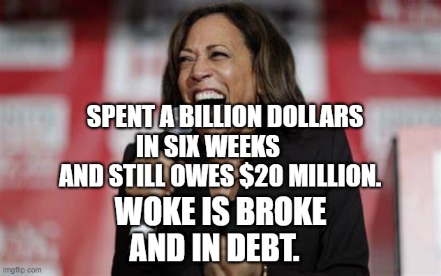 Kamala Harris | SPENT A BILLION DOLLARS IN SIX WEEKS        AND STILL OWES $20 MILLION. WOKE IS BROKE AND IN DEBT. | image tagged in kamala harris | made w/ Imgflip meme maker