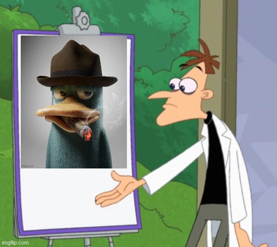 Dr D white board | image tagged in dr d white board | made w/ Imgflip meme maker