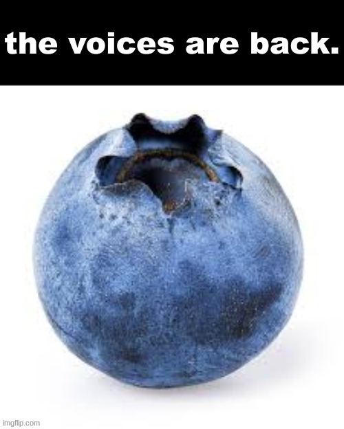 the voices are back. | image tagged in the voices are back | made w/ Imgflip meme maker