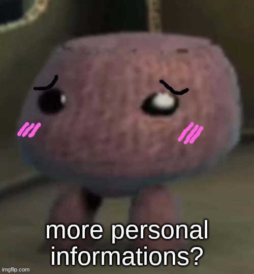 Personal Info | more personal informations? | image tagged in personal info | made w/ Imgflip meme maker