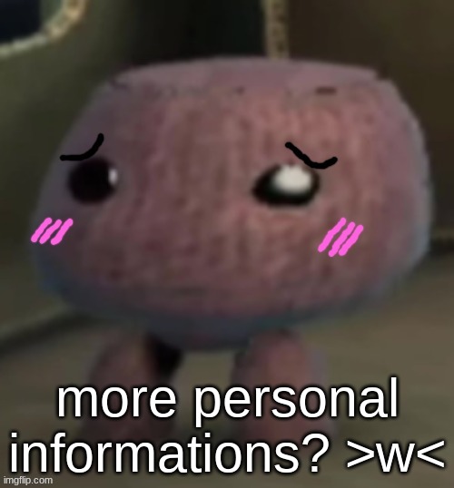 p-p-please? uwu | more personal informations? >w< | image tagged in personal info | made w/ Imgflip meme maker