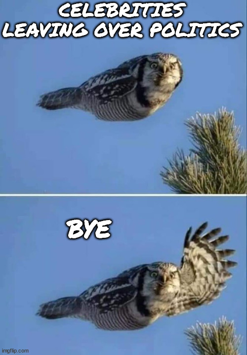 Leaving | CELEBRITIES LEAVING OVER POLITICS; BYE | image tagged in owl waving | made w/ Imgflip meme maker