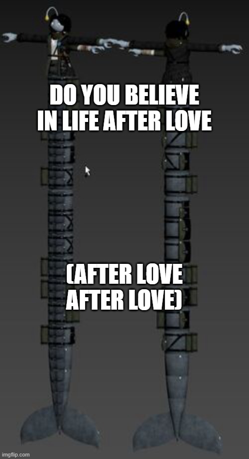 Longboi Sebastian | DO YOU BELIEVE IN LIFE AFTER LOVE (AFTER LOVE AFTER LOVE) | image tagged in longboi sebastian | made w/ Imgflip meme maker