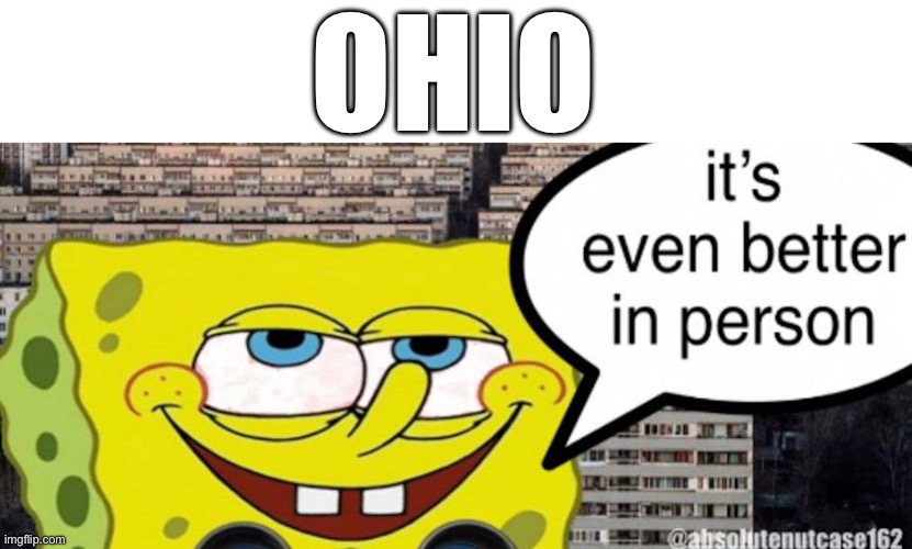 Schedule your trip to Ohio’s Amish Country today! They don’t call it “Charm” for nothing! | OHIO | image tagged in spongebob,better in person | made w/ Imgflip meme maker