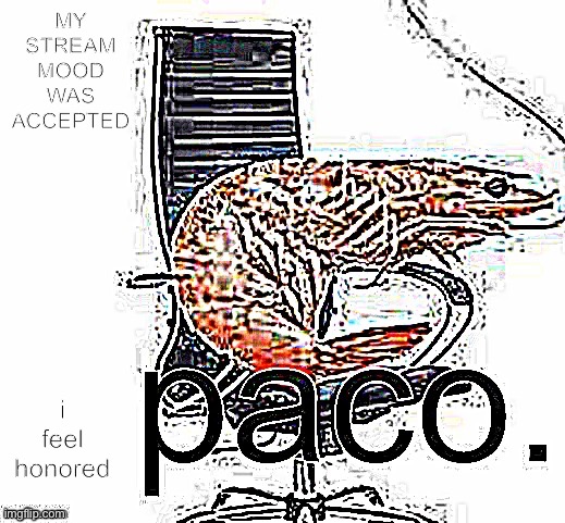 WHAT | MY STREAM MOOD WAS ACCEPTED; i feel honored | image tagged in paco | made w/ Imgflip meme maker