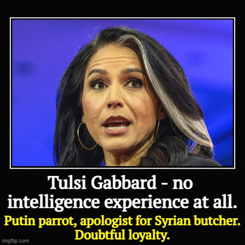 BLAME AMERICA FIRST! If there's a problem anywhere in the world, she thinks it's our fault. | Tulsi Gabbard - no 
intelligence experience at all. | Putin parrot, apologist for Syrian butcher.
Doubtful loyalty. | image tagged in funny,demotivationals,tulsi gabbard,intelligence,incompetence,trump | made w/ Imgflip demotivational maker