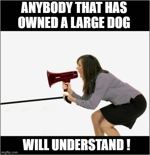 STOP PULLING ! | ANYBODY THAT HAS
OWNED A LARGE DOG; WILL UNDERSTAND ! | image tagged in dogs,megaphone,stop,pulling | made w/ Imgflip meme maker