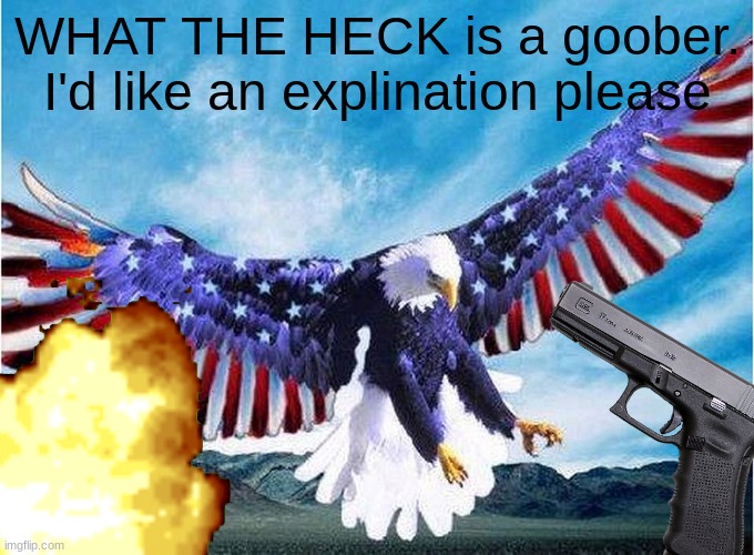 merica eagle | WHAT THE HECK is a goober. I'd like an explination please | image tagged in merica eagle | made w/ Imgflip meme maker