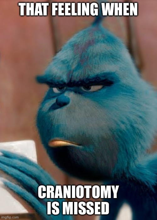 Sad blue grinch | THAT FEELING WHEN CRANIOTOMY IS MISSED | image tagged in sad blue grinch | made w/ Imgflip meme maker