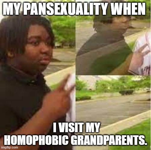 Peace Out | MY PANSEXUALITY WHEN; I VISIT MY HOMOPHOBIC GRANDPARENTS. | image tagged in peace out | made w/ Imgflip meme maker