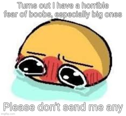 amb shamb bbbmba | Turns out I have a horrible fear of boobs, especially big ones; Please don't send me any | image tagged in amb shamb bbbmba | made w/ Imgflip meme maker