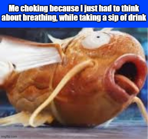 Why did I do that? | Me choking because I just had to think about breathing, while taking a sip of drink | image tagged in drink,choke,fish | made w/ Imgflip meme maker