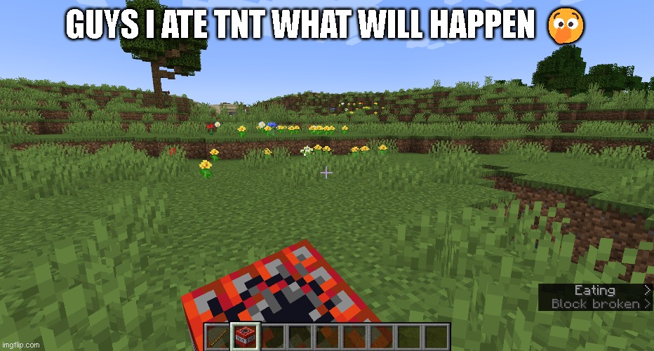 GUYS I ATE TNT WHAT WILL HAPPEN 🫢 | made w/ Imgflip meme maker