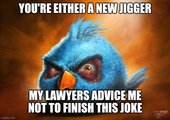 Realistic Blue Angry Bird | YOU'RE EITHER A NEW JIGGER MY LAWYERS ADVICE ME NOT TO FINISH THIS JOKE | image tagged in realistic blue angry bird | made w/ Imgflip meme maker