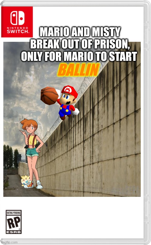 Nintendo Switch Cartridge Case | BALLIN; MARIO AND MISTY BREAK OUT OF PRISON, ONLY FOR MARIO TO START | image tagged in nintendo switch cartridge case | made w/ Imgflip meme maker