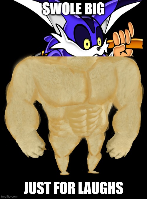 swole Big | SWOLE BIG; JUST FOR LAUGHS | image tagged in swole doge | made w/ Imgflip meme maker