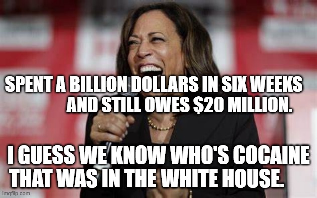 Kamala Harris | SPENT A BILLION DOLLARS IN SIX WEEKS                  AND STILL OWES $20 MILLION. I GUESS WE KNOW WHO'S COCAINE THAT WAS IN THE WHITE HOUSE. | image tagged in kamala harris | made w/ Imgflip meme maker