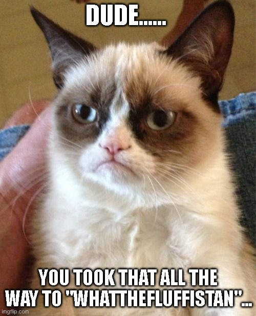 What the Heck | DUDE...... YOU TOOK THAT ALL THE WAY TO "WHATTHEFLUFFISTAN"... | image tagged in memes,grumpy cat,funny | made w/ Imgflip meme maker