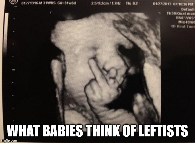 WHAT BABIES THINK OF LEFTISTS | made w/ Imgflip meme maker