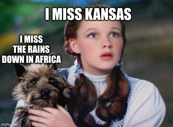 dorothy | I MISS THE RAINS DOWN IN AFRICA; I MISS KANSAS | image tagged in dorothy | made w/ Imgflip meme maker