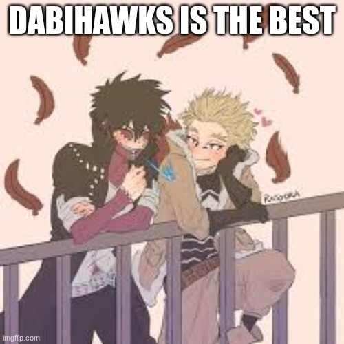 Dabihawks :D (Did I start a ship war?) | DABIHAWKS IS THE BEST | image tagged in dabihawks | made w/ Imgflip meme maker