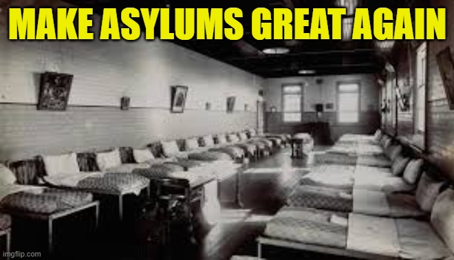 There are very fine Crazies on both sides | MAKE ASYLUMS GREAT AGAIN | image tagged in maga,make america great again,crazy,tds,liberal,trump | made w/ Imgflip meme maker