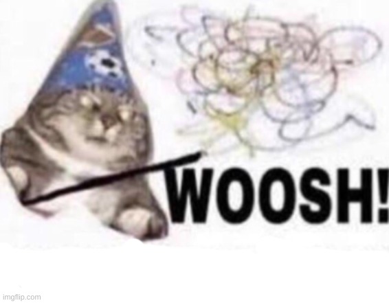 woosh | image tagged in woosh | made w/ Imgflip meme maker