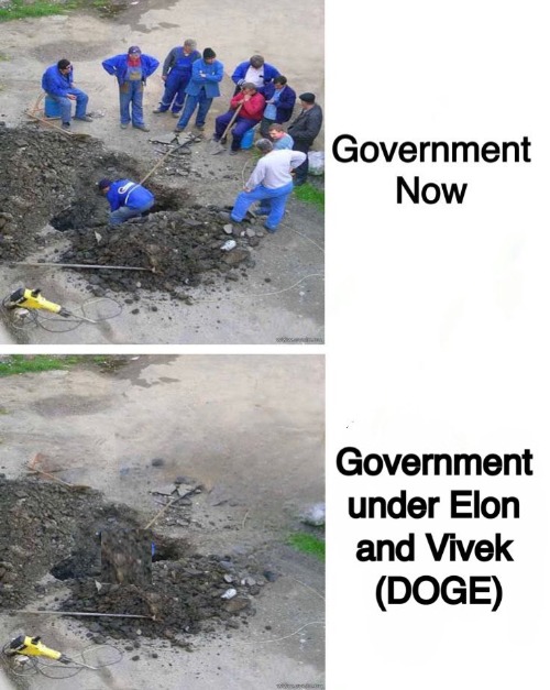 hole e shit | image tagged in elon musk,government | made w/ Imgflip meme maker