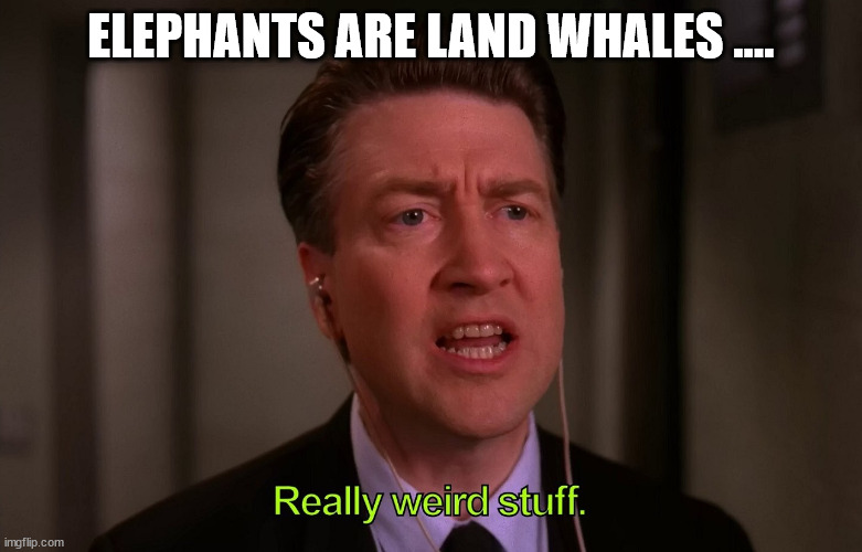 ELEPHANTS ARE LAND WHALES .... | made w/ Imgflip meme maker