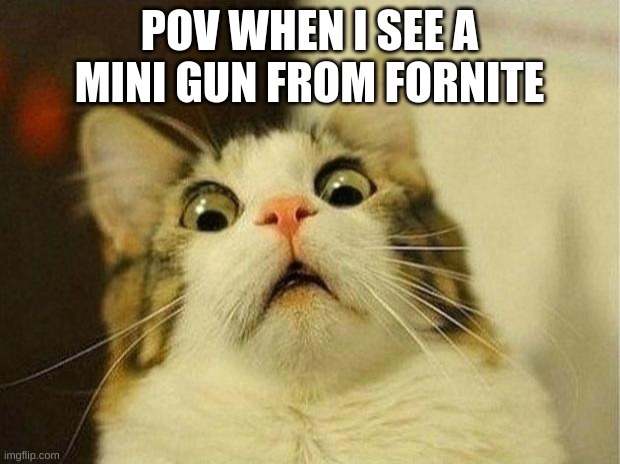 lol | POV WHEN I SEE A MINI GUN FROM FORNITE | image tagged in memes,scared cat | made w/ Imgflip meme maker