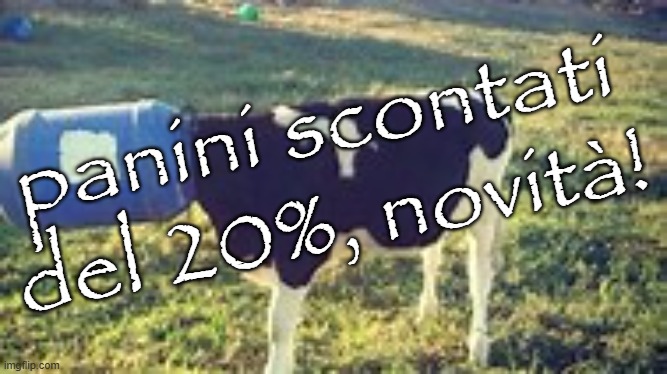 panini scontati del 20%, novità! | panini scontati del 20%, novità! | image tagged in trevor | made w/ Imgflip meme maker