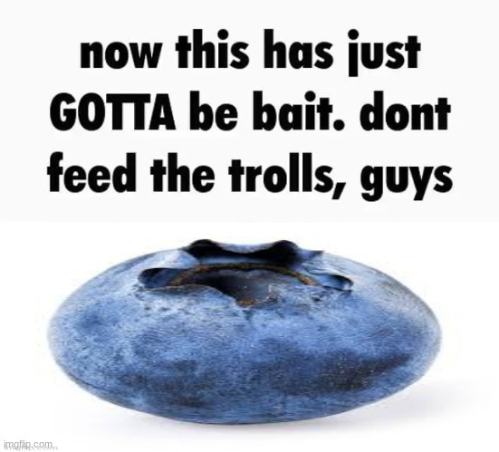 now this has just gotta be bait | image tagged in now this has just gotta be bait | made w/ Imgflip meme maker