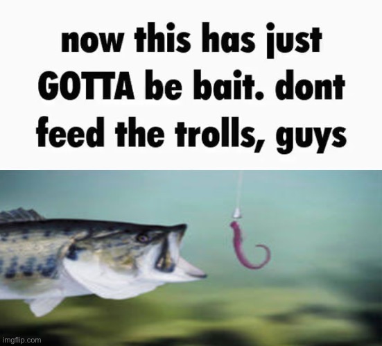 now this has just gotta be bait | image tagged in now this has just gotta be bait | made w/ Imgflip meme maker