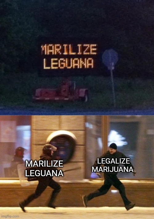 Marilize Leguana | LEGALIZE MARIJUANA; MARILIZE LEGUANA | image tagged in police chasing guy,marijuana,legalize,you had one job,memes,spelling error | made w/ Imgflip meme maker