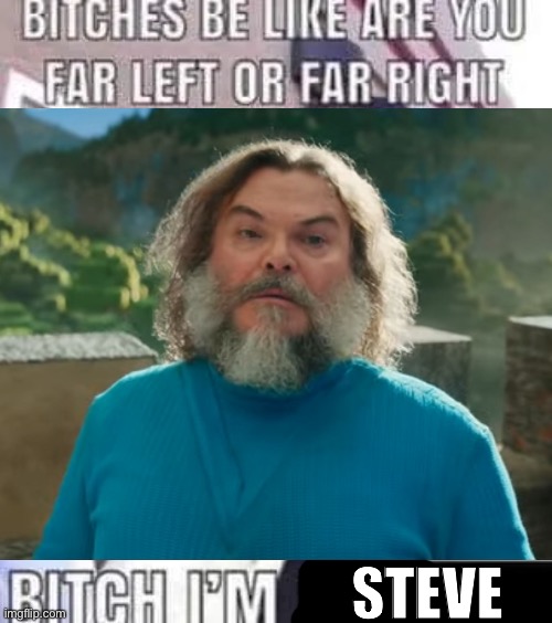 bitch i'm farting | STEVE | image tagged in bitch i'm farting | made w/ Imgflip meme maker