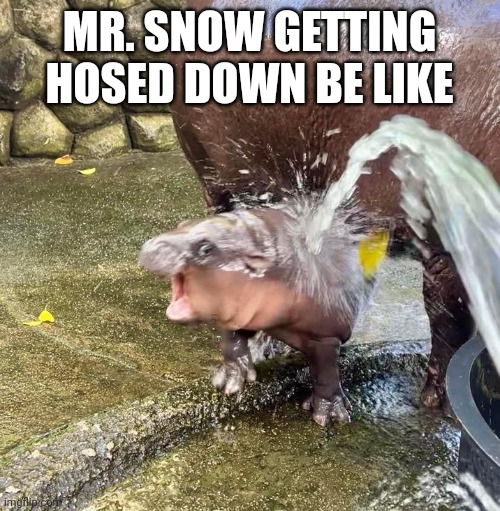 Moo deng water spray | MR. SNOW GETTING HOSED DOWN BE LIKE | image tagged in moo deng water spray | made w/ Imgflip meme maker