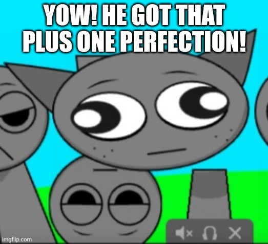 Plus One Perfect! | YOW! HE GOT THAT PLUS ONE PERFECTION! | image tagged in stupid gray,memes,funny | made w/ Imgflip meme maker