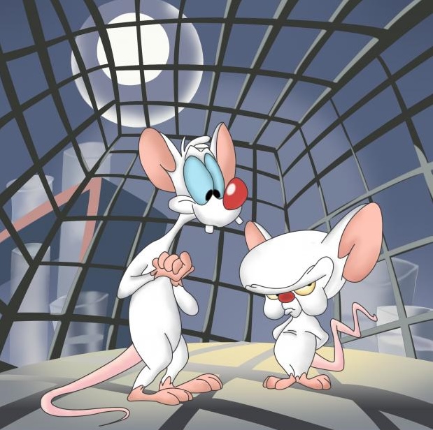 High Quality Pinky and The Brain Blank Meme Template