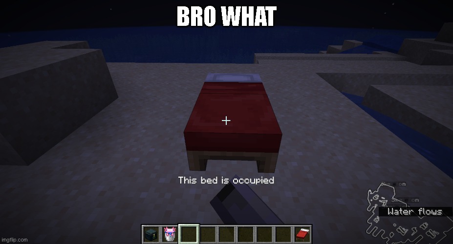 BRO WHAT | made w/ Imgflip meme maker