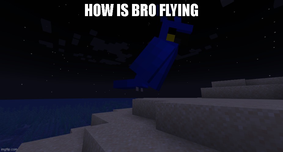 HOW IS BRO FLYING | made w/ Imgflip meme maker