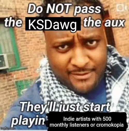 Or hyperpop | KSDawg; Indie artists with 500 monthly listeners or cromokopia | image tagged in do not pass the x the aux they ll just start playin y | made w/ Imgflip meme maker