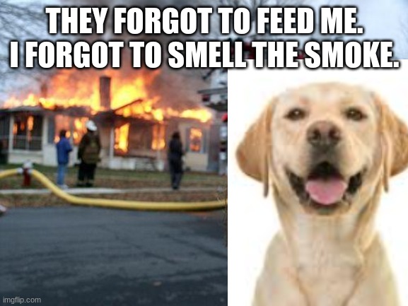 Disaster Girl | THEY FORGOT TO FEED ME. I FORGOT TO SMELL THE SMOKE. | image tagged in memes,disaster girl | made w/ Imgflip meme maker