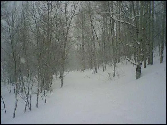 3 Blank Meme Template